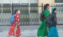 蒙古袍子爆料视频大全,揭秘民族服饰背后的故事与魅力