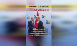 美媒体最新爆料中国,揭秘神秘生成技术背后的秘密”