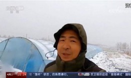 农民网红爆料事件视频,揭秘农村网络直播背后的真相