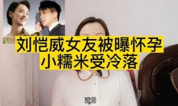 港媒爆料李晓峰视频播放