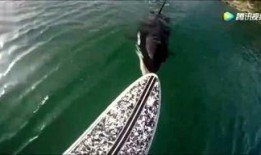 大坝新闻爆料,揭秘我国某大型水利枢纽工程最新进展