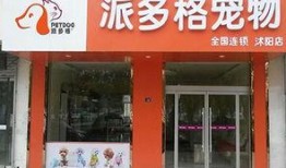 新兴宠物店爆料新闻视频,新兴宠物市场背后的惊人真相