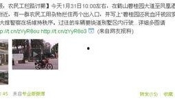 碧桂园最新事件爆料视频