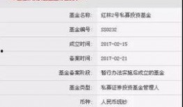 严为民最新爆料,揭秘事件背后惊人真相