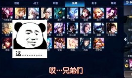 兄弟们王者爆料视频大全,兄弟们独家揭秘游戏幕后秘密