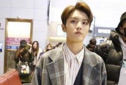 偶像女友爆料视频大全在线观看,揭秘明星私生活瞬间
