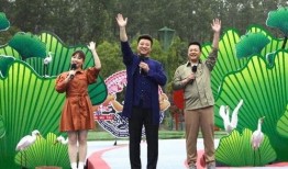 兜子娱乐最新爆料视频,最新爆料视频背后的惊人真相