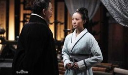 赵氏孤儿案在线观看,揭秘古代宫廷权谋与家族复仇的悲壮史诗