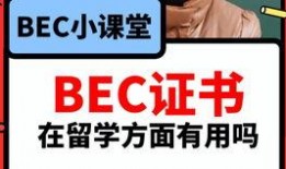 往期视频爆料怎么找到他,如何根据往期视频爆料追踪目标人物