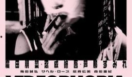 烹夫完整在线观看,一锅佳肴背后的感人故事