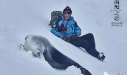 南极日记在线观看,冰原探险之旅