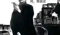 杜源爆料鲁迅视频播放,鲁迅视频播放背后的故事