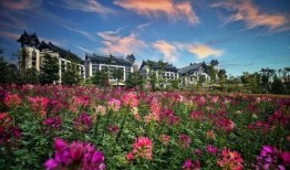 清远怎么爆料新闻,见证城市变迁，共筑美好未来