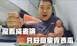 不可抗力在线观看西瓜,西瓜视频独家呈现，逆境中的英雄传奇