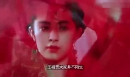 摘星说娱乐爆料,摘星说爆料的幕后真相