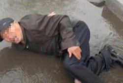 小青龙被前队友爆料视频,揭秘背后真相与视频风波