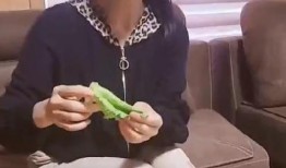 于文华爆料视频,揭秘娱乐圈不为人知的真相