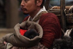 赵氏孤儿案在线观看,揭秘古代宫廷权谋与家族复仇的悲壮史诗