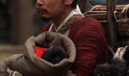 赵氏孤儿案在线观看,揭秘古代宫廷权谋与家族复仇的悲壮史诗