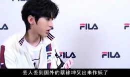 蔡徐坤娱乐圈最新爆料,揭秘背后惊人真相