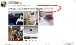 qq免费吃瓜网红圈是真的吗,QQ免费吃瓜网红圈的真实性探究