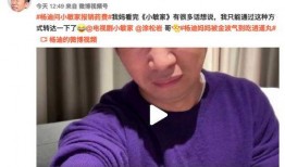 杨迪各种爆料视频大全集,揭秘娱乐圈幕后故事
