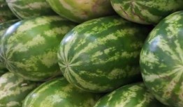 迪拜网红吃瓜事件,一场美食与争议的碰撞