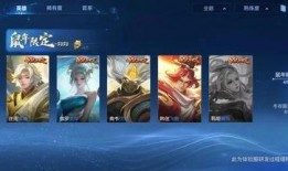 小黑解说爆料新皮肤视频,新皮肤视频大揭秘！