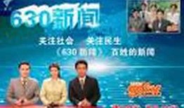 广州新闻频道爆料,揭秘某重大事件背后真相