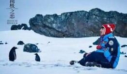 南极日记在线观看,冰原探险之旅