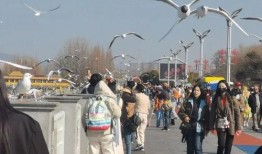 大坝新闻爆料,揭秘我国某大型水利枢纽工程最新进展