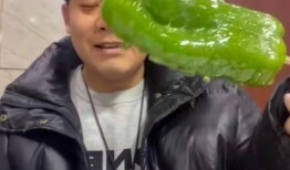 迪拜网红吃瓜事件,一场美食与争议的碰撞