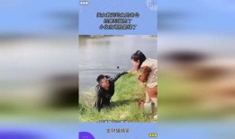 女子爆料老公钓鱼视频,引发网友热议