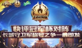 仙舟将军爆料视频,视频爆料背后的神秘世界