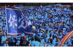 足球主任最新爆料新闻,最新爆料揭示足坛风云变幻