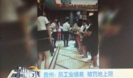小李的爆料视频大全,揭秘娱乐圈幕后真相