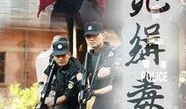 生死缉毒电影在线观看,生死较量，正义之战