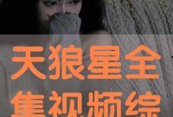 天狼星全集在线观看,星际探险的奇幻之旅