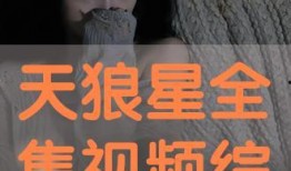 天狼星全集在线观看,星际探险的奇幻之旅