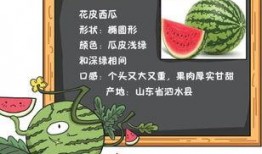 我的吃瓜小记免费阅读小说,免费阅读小说背后的故事揭秘