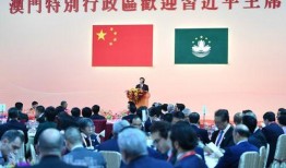 澳门政府最新爆料视频网,最新爆料视频内容全解析