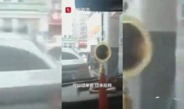 桂平最新爆料新闻视频,视频揭露惊人内幕，真相令人震惊！