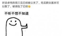 卓伟最新爆料达人视频播放,达人视频播放背后惊人真相揭露