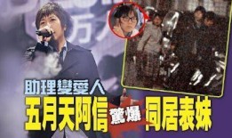 陈信宏最新爆料,音乐背后的故事与心路历程