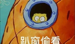 派大星娱乐爆料视频下载,热门视频下载攻略大公开