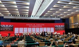 黑哥爆料现场直播回放视频,现场直播回放视频精彩瞬间大盘点