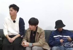 李文最新爆料视频大全,揭秘事件真相与幕后黑幕