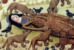 大帝爆料虎子视频在线观看,虎子视频背后的精彩瞬间