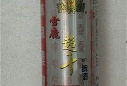 内蒙古啤酒罐爆料事件视频,揭开食品安全背后的真相